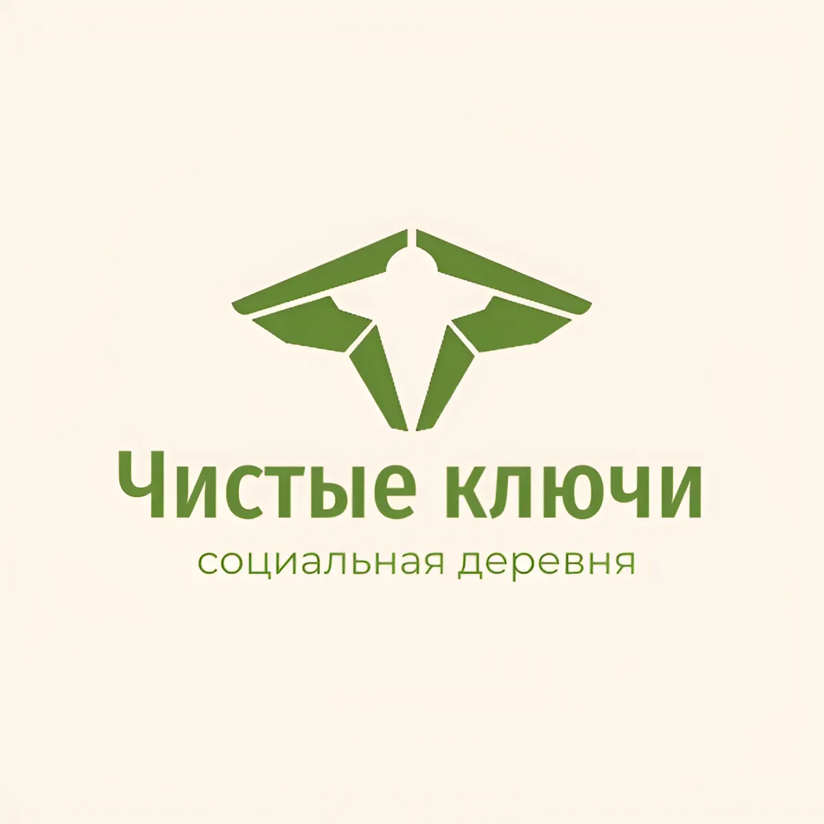 Логотип социальной деревни «Чистые ключи»